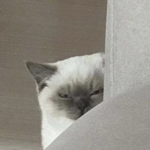 😑 Стикер «💕💕💕» для Telegram