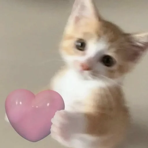 🩷 Стикер «💕💕💕» для Telegram
