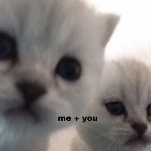 🤍 Стикер «💕💕💕» для Telegram