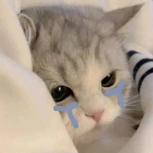 ☹️ Стикер «💕💕💕» для Telegram