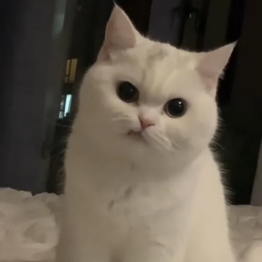 😑 Стикер «💕💕💕» для Telegram