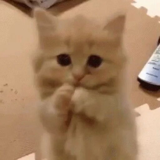 🥲 Стикер «💕💕💕» для Telegram