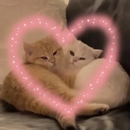💓 Стикер «💕💕💕» для Telegram