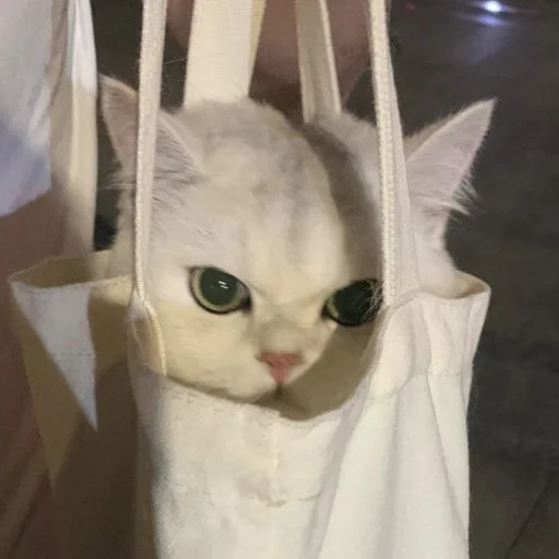 😠 Стикер «💕💕💕» для Telegram