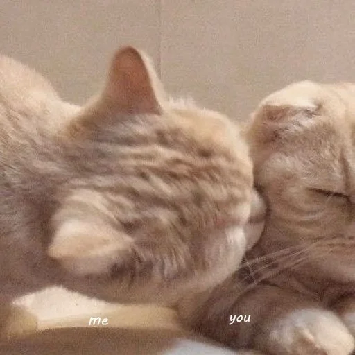 ♥️ Стикер «💕💕💕» для Telegram