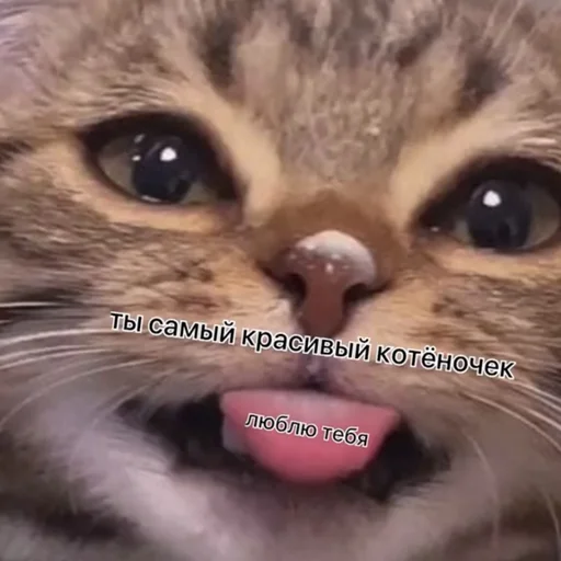 ♥️ Стикер «💕💕💕» для Telegram
