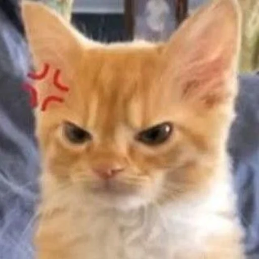 😠 Стикер «💕💕💕» для Telegram