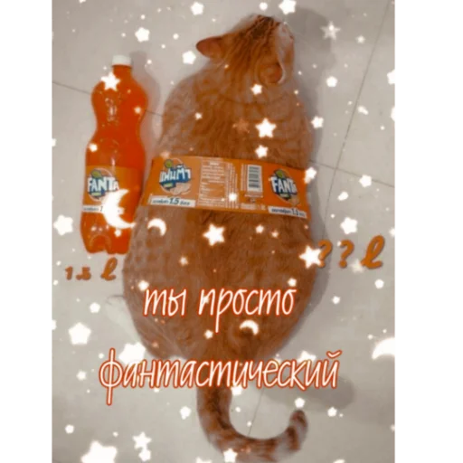 😘 Стикер «kartinochki meow 8» для Telegram