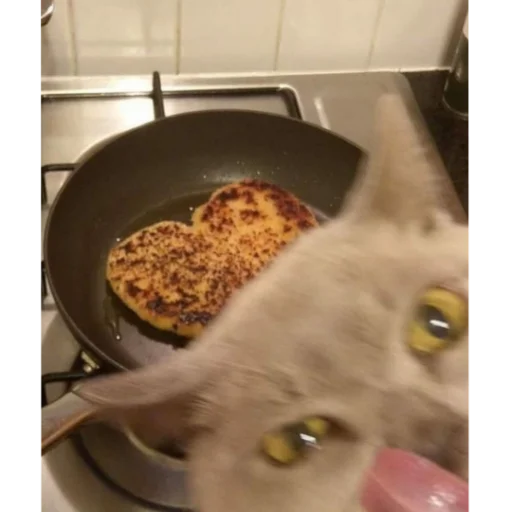😋 Стикер «kartinochki meow 8» для Telegram