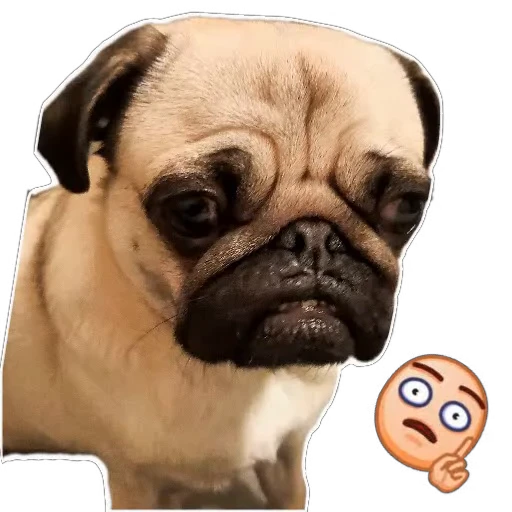 🙁 Стикер «Каська» для Telegram