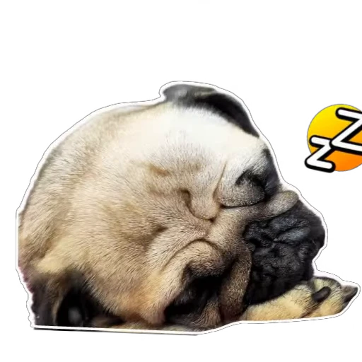 😴 Стикер «Каська» для Telegram