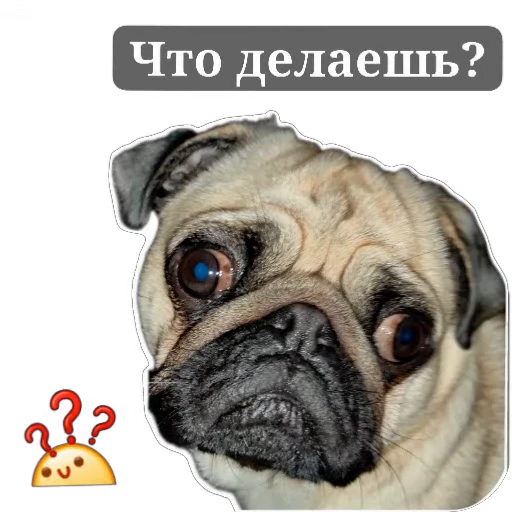 ❓ Стикер «Каська» для Telegram