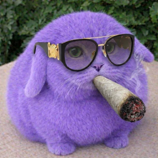 🐱 Стикер «катафеи» для Telegram