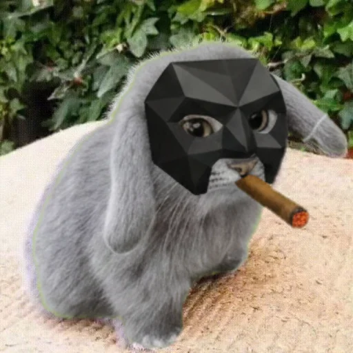 🐱 Стикер «катафеи» для Telegram