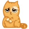 Стикер 17 😌 Кот Персик