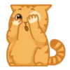 Стикер 19 😌 Кот Персик