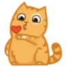 Стикер 6 😌 Кот Персик