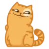 Стикер 5 😌 Кот Персик