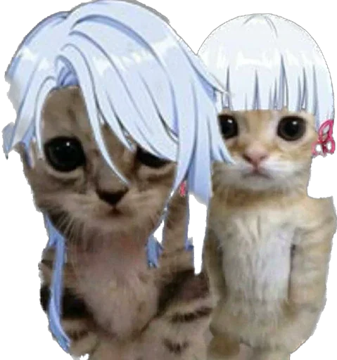 😾 Стикер «Ayayaka» для Telegram