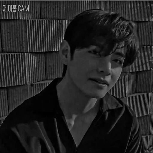 🦇 Стикер «TAEHYUNG DARK» для Telegram