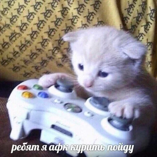 🕯 Стикер «котёнок няша» для Telegram