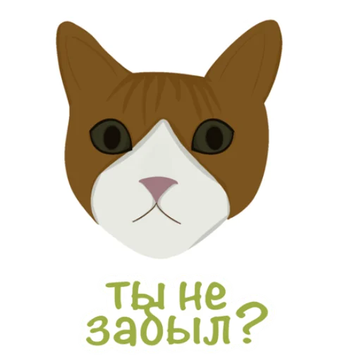 😺 Стикер «katosik_adventuretime» для Telegram