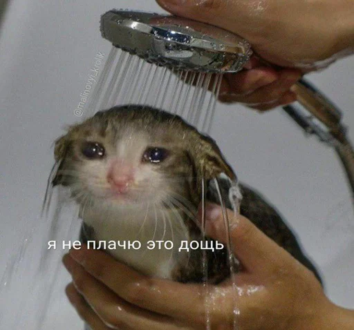 😢 Стикер «Дижитал» для Telegram