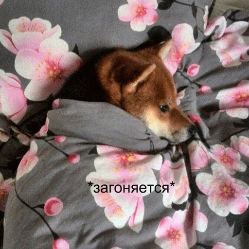 😞 Стикер «Дижитал» для Telegram