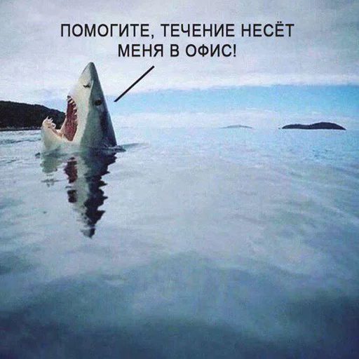 🖥 Стикер «Дижитал» для Telegram