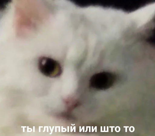 😠 Стикер «Дижитал» для Telegram