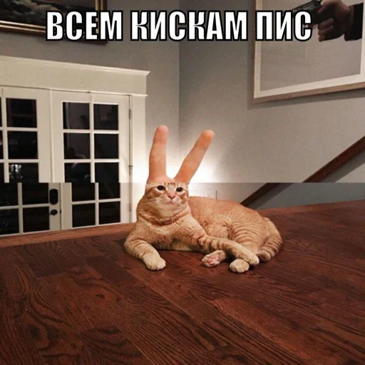 Стикерпак Дижитал для Telegram