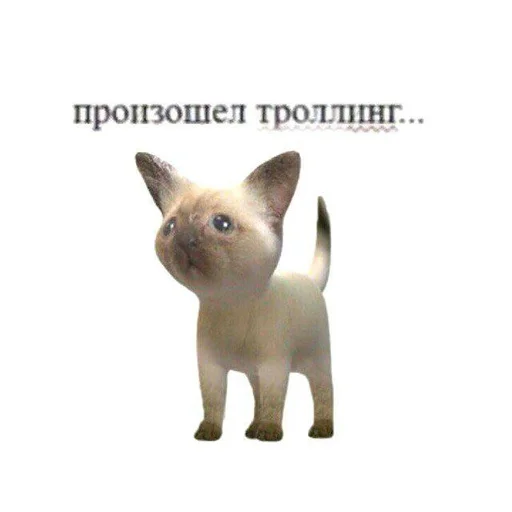 😁 Стикер «Дижитал» для Telegram