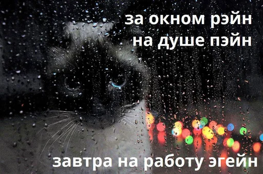 😔 Стикер «Дижитал» для Telegram