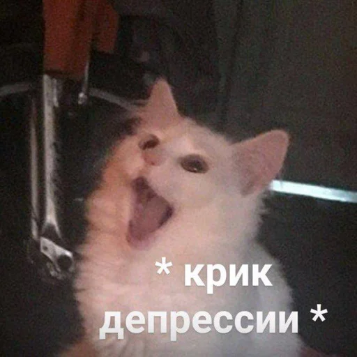 😨 Стикер «Дижитал» для Telegram