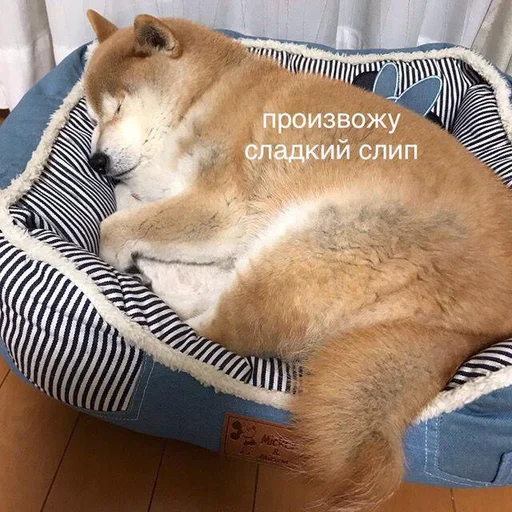 😴 Стикер «Дижитал» для Telegram