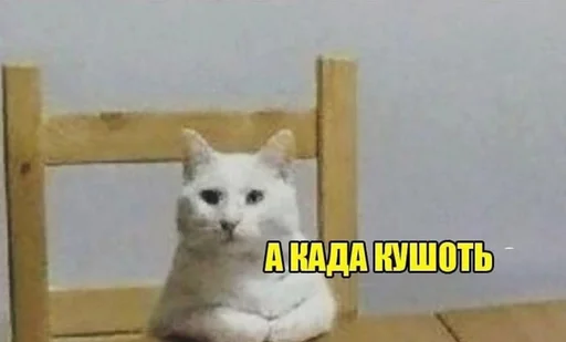 🥗 Стикер «Дижитал» для Telegram
