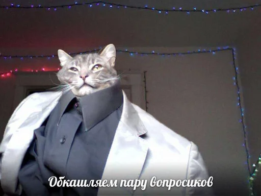 😎 Стикер «Дижитал» для Telegram