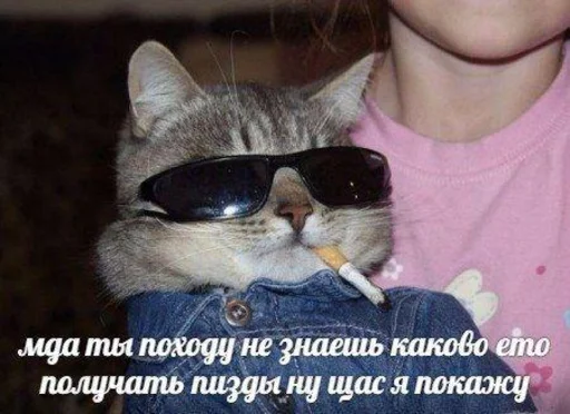 😎 Стикер «Дижитал» для Telegram