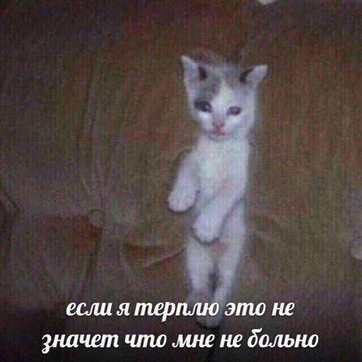 😞 Стикер «Дижитал» для Telegram