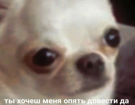 😒 Стикер «Дижитал» для Telegram