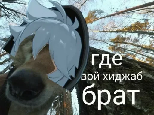 🌸 Стикер «геншин для геев» для Telegram
