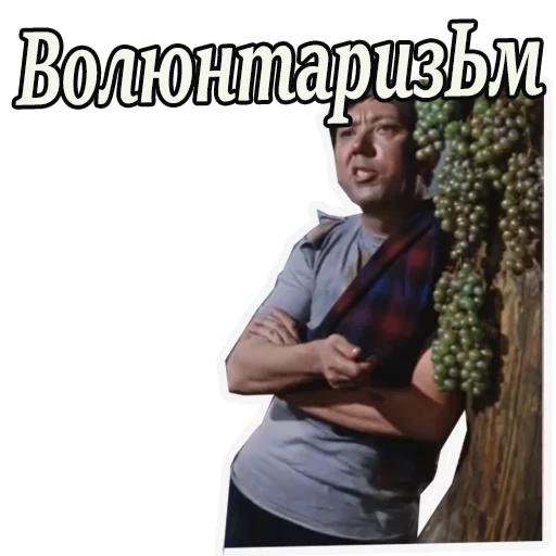 😯 Стикер «Кавказская пленница» для Telegram