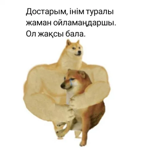 🤗 Стикер «қазақ постирония» для Telegram