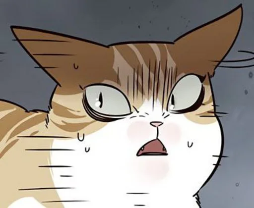🐈 Стикер «Элисед» для Telegram