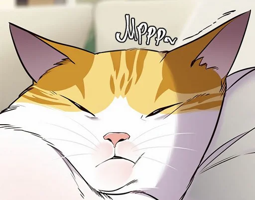 🐈 Стикер «Элисед» для Telegram