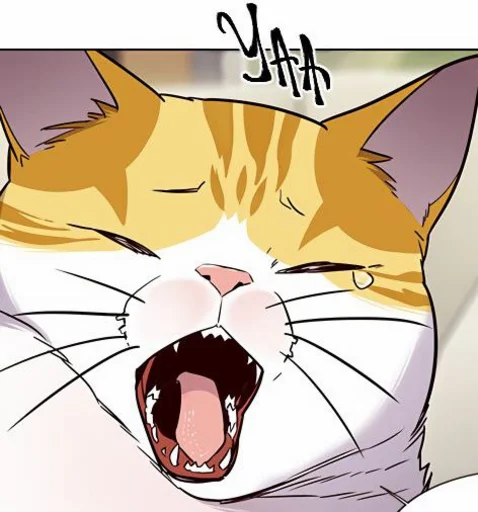 🐈 Стикер «Элисед» для Telegram