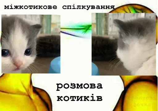 😈 Стикер «почему.» для Telegram