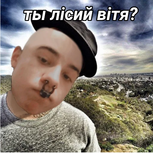 😎 Стикер «почему.» для Telegram