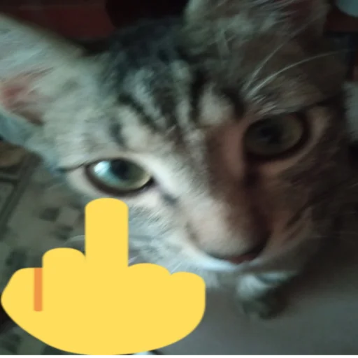 🤬 Стикер «почему.» для Telegram