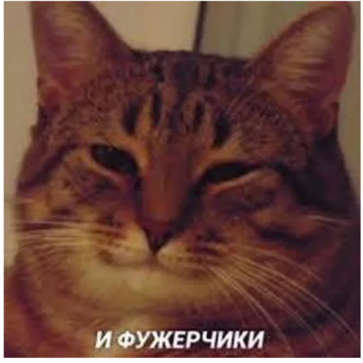😌 Стикер «почему.» для Telegram